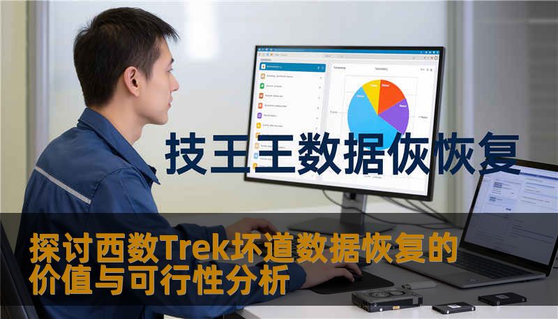 探讨西数Trek坏道数据恢复的价值与可行性分析