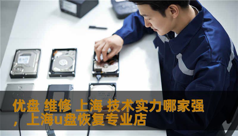 优盘 维修 上海 技术实力哪家强,上海u盘恢复专业店 优盘 维修 上海 技术实力哪家强,上海u盘恢复专业店