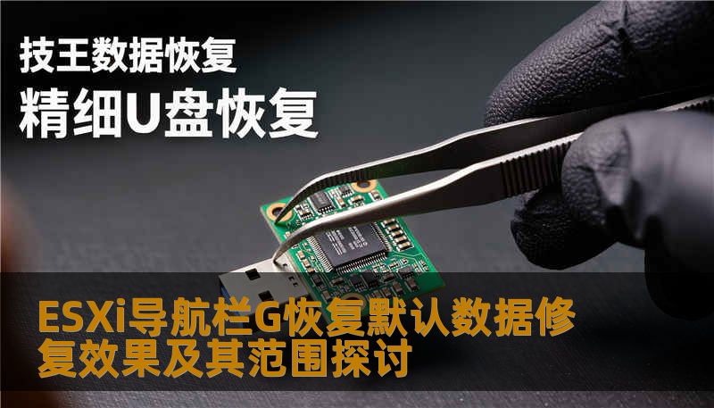ESXi导航栏G恢复默认数据修复效果及其范围探讨