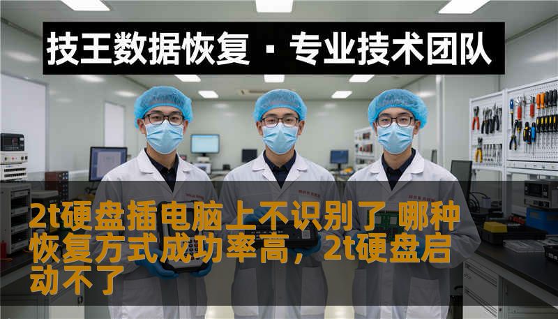 2t硬盘插电脑上不识别了 哪种恢复方式成功率高，2t硬盘启动不了