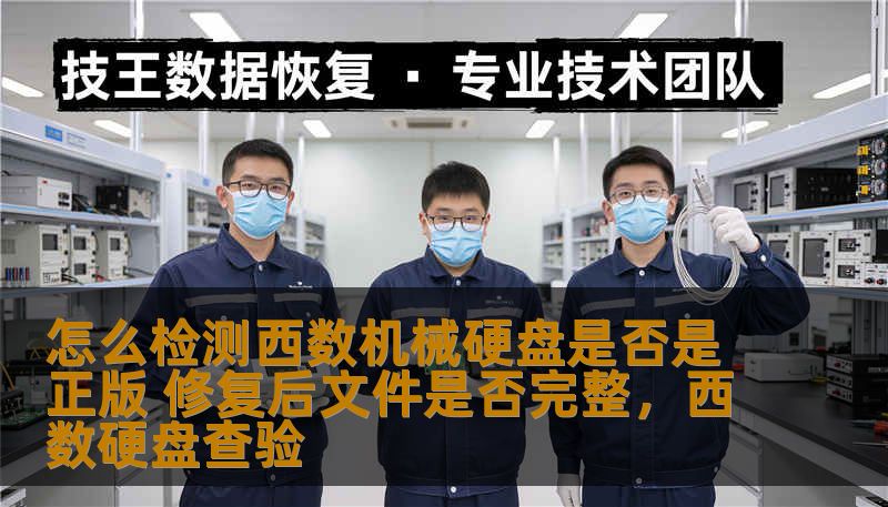 怎么检测西数机械硬盘是否是正版 修复后文件是否完整，西数硬盘查验