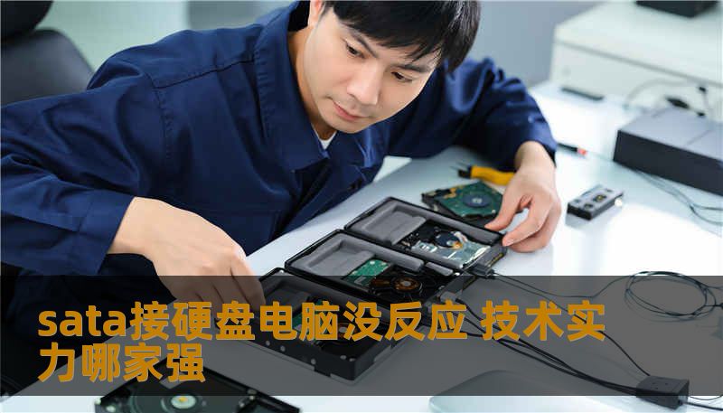 sata接硬盘电脑没反应 技术实力哪家强