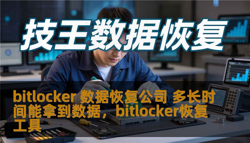 bitlocker 数据恢复公司 多长时间能拿到数据，bitlocker恢复工具