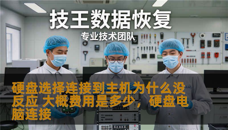 硬盘选择连接到主机为什么没反应 大概费用是多少，硬盘电脑连接