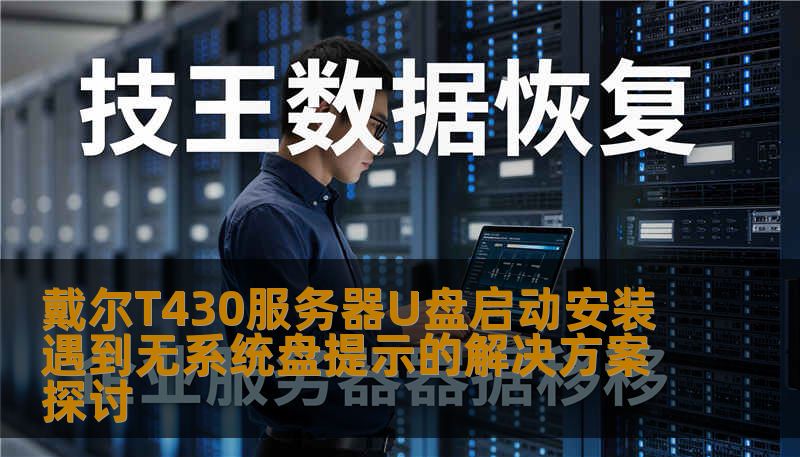 戴尔T430服务器U盘启动安装遇到无系统盘提示的解决方案探讨