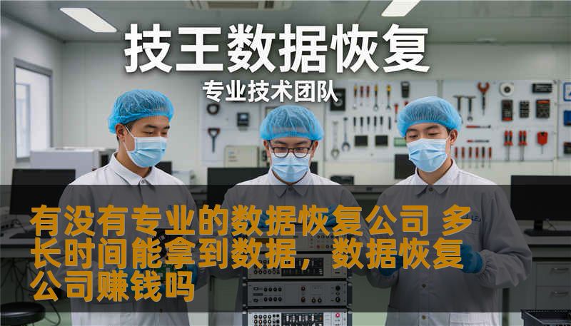 有没有专业的数据恢复公司 多长时间能拿到数据，数据恢复公司赚钱吗