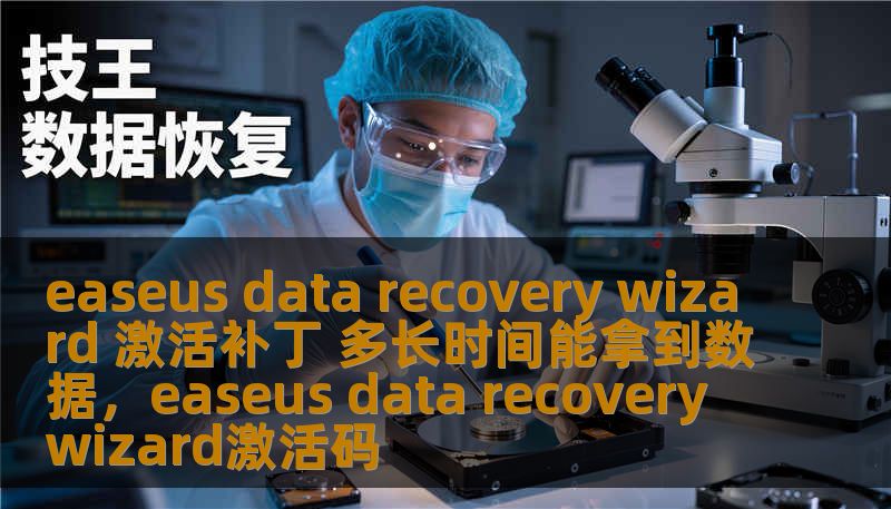 easeus data recovery wizard 激活补丁 多长时间能拿到数据，easeus data recovery wizard激活码