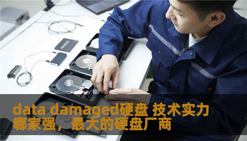 data damaged硬盘 技术实力哪家强，最大的硬盘厂商