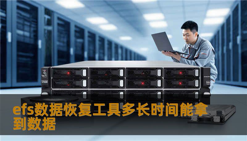 efs数据恢复工具多长时间能拿到数据