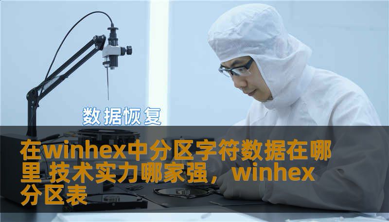 在winhex中分区字符数据在哪里 技术实力哪家强，winhex分区表