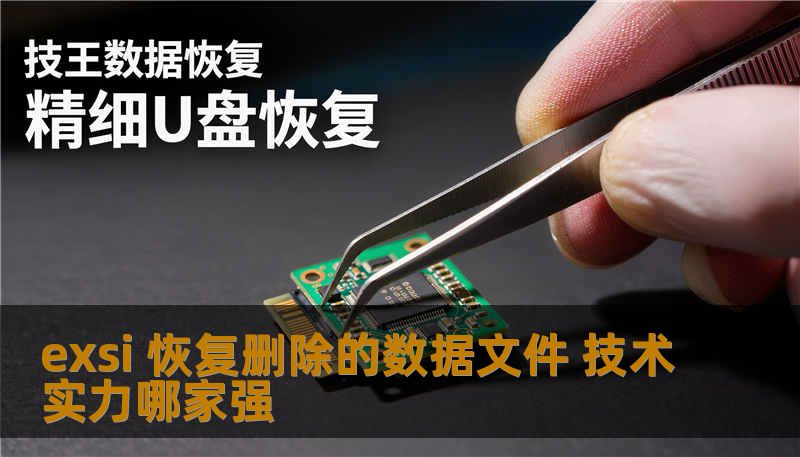 exsi 恢复删除的数据文件 技术实力哪家强