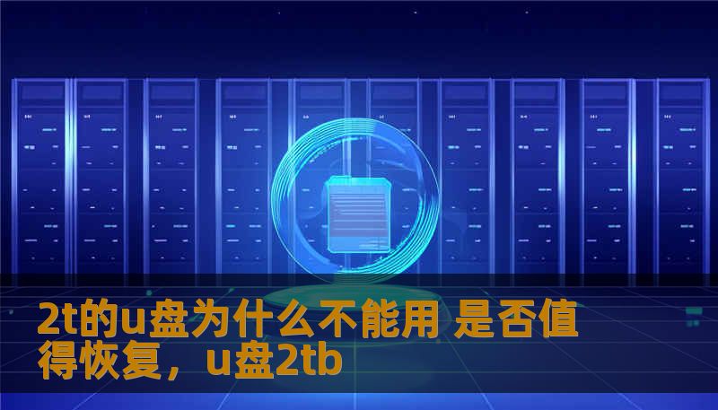 2t的u盘为什么不能用 是否值得恢复,u盘2tb 2t的u盘为什么不能用 是否值得恢复,u盘2tb