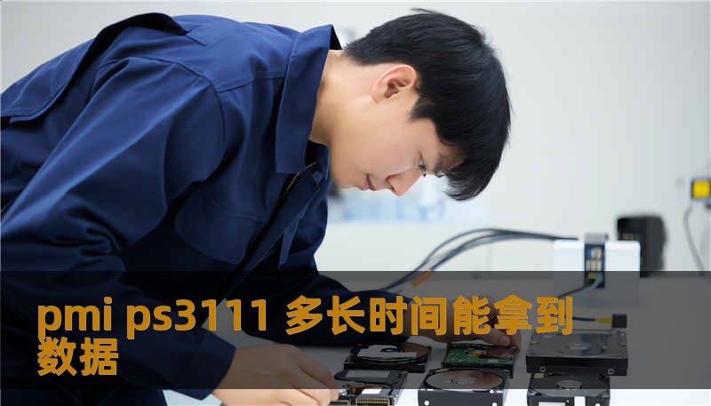 pmi ps3111 多长时间能拿到数据