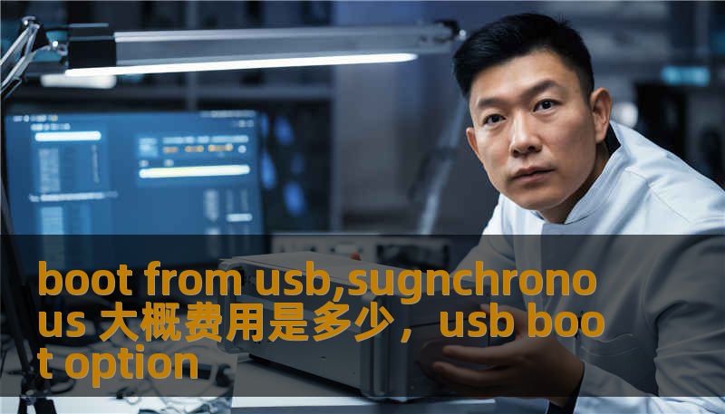 boot from usb,sugnchronous 大概费用是多少，usb boot option
