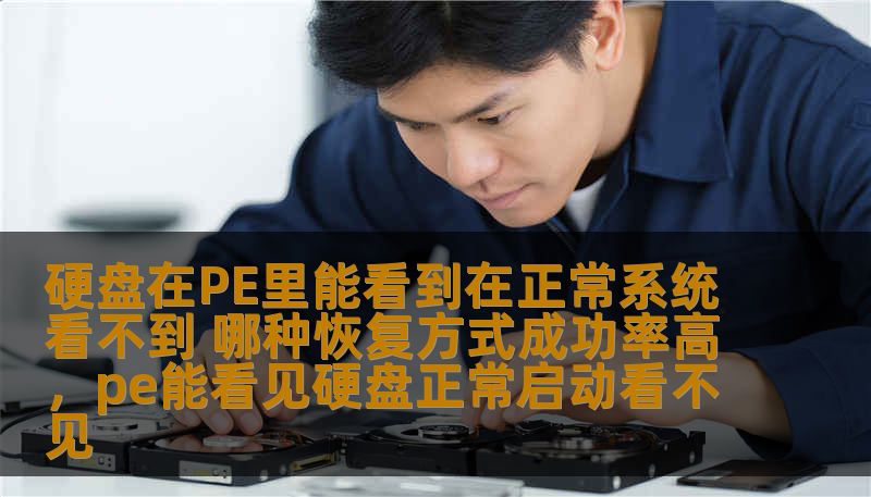 硬盘在PE里能看到在正常系统看不到 哪种恢复方式成功率高，pe能看见硬盘正常启动看不见