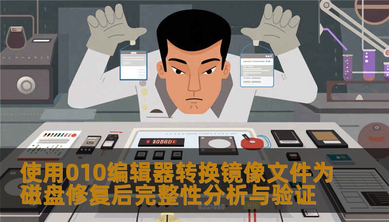 使用010编辑器转换镜像文件为磁盘修复后完整性分析与验证