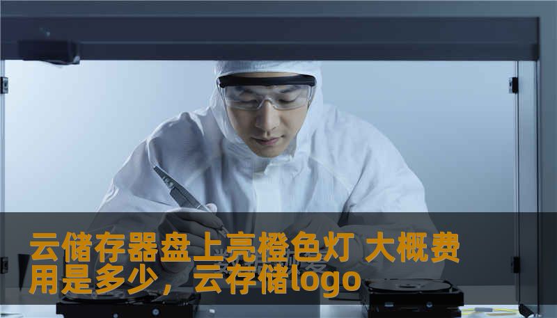 云储存器盘上亮橙色灯 大概费用是多少，云存储logo