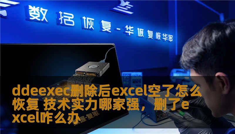 ddeexec删除后excel空了怎么恢复 技术实力哪家强，删了excel咋么办