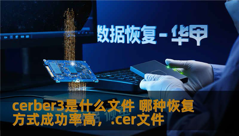 cerber3是什么文件 哪种恢复方式成功率高，.cer文件