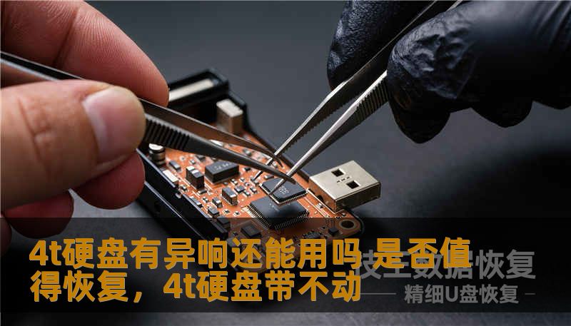 4t硬盘有异响还能用吗 是否值得恢复，4t硬盘带不动