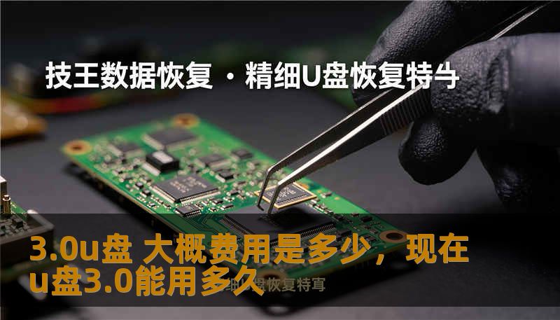 3.0u盘 大概费用是多少，现在u盘3.0能用多久