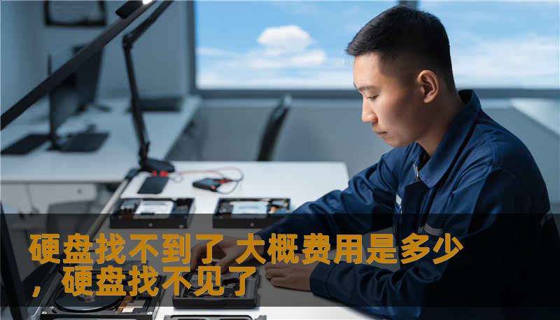硬盘找不到了 大概费用是多少，硬盘找不见了