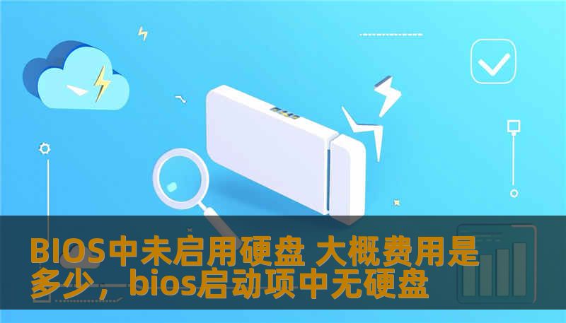BIOS中未启用硬盘 大概费用是多少，bios启动项中无硬盘
