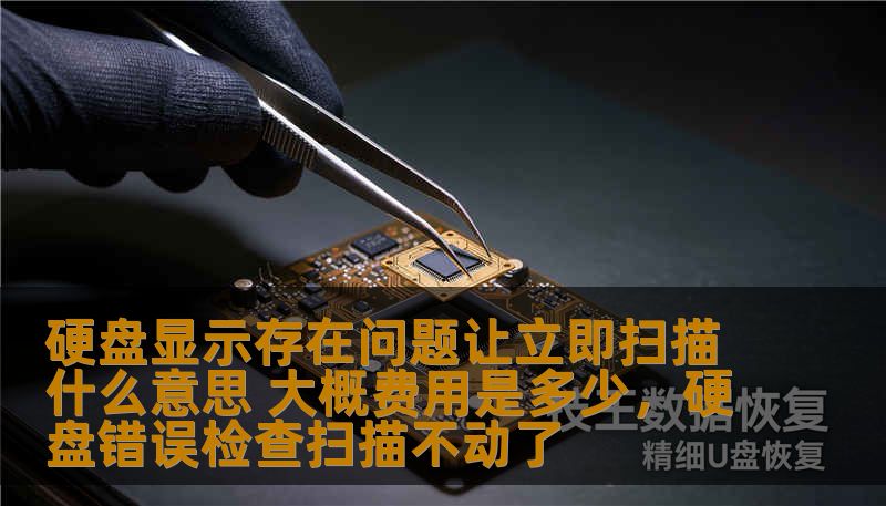 硬盘显示存在问题让立即扫描什么意思 大概费用是多少，硬盘错误检查扫描不动了