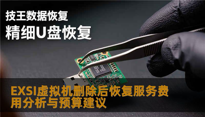 EXSI虚拟机删除后恢复服务费用分析与预算建议 EXSI虚拟机删除后恢复服务费用分析与预算建议