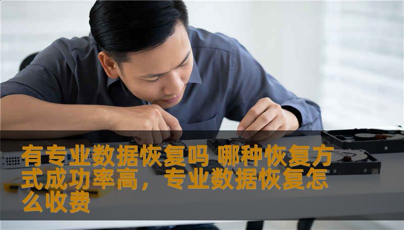 有专业数据恢复吗 哪种恢复方式成功率高,专业数据恢复怎么收费 有专业数据恢复吗 哪种恢复方式成功率高,专业数据恢复怎么收费