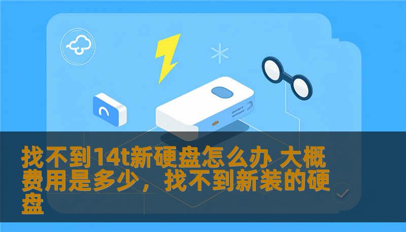 找不到14t新硬盘怎么办 大概费用是多少，找不到新装的硬盘