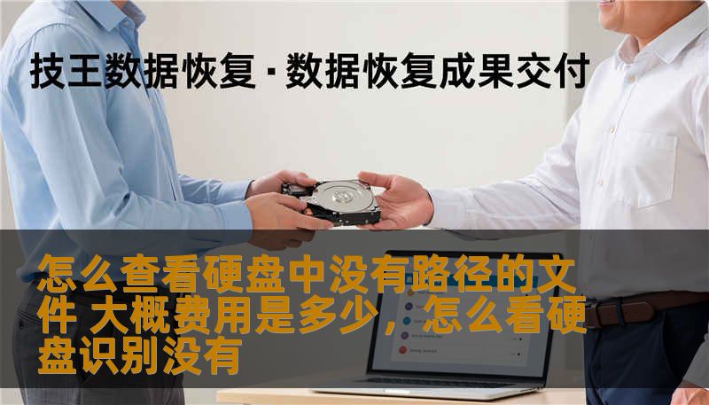 怎么查看硬盘中没有路径的文件 大概费用是多少,怎么看硬盘识别没有 怎么查看硬盘中没有路径的文件 大概费用是多少,怎么看硬盘识别没有