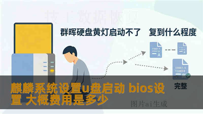 麒麟系统设置u盘启动 bios设置 大概费用是多少