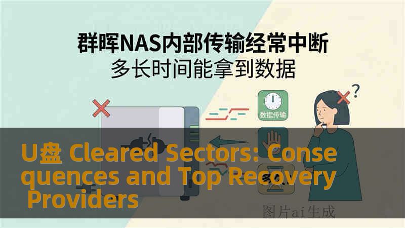 U盘 Cleared Sectors: Consequences and Top Recovery Providers