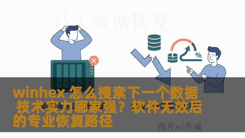 winhex 怎么搜索下一个数据 技术实力哪家强？软件无效后的专业恢复路径