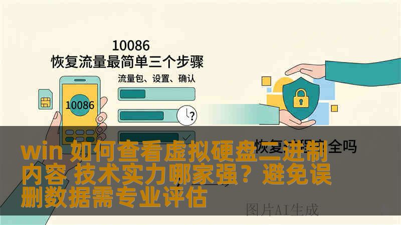 win 如何查看虚拟硬盘二进制内容 技术实力哪家强？避免误删数据需专业评估