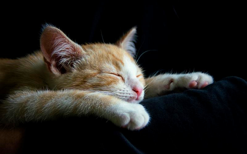 数据恢复 武汉,数据恢复武汉 数据恢复 武汉,数据恢复武汉