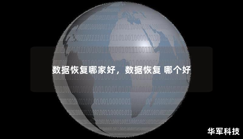 选择一家专业的数据恢复公司至关重要，尤其是在面对珍贵数据丢失的情况下。本文将为你详细介绍如何选择合适的服务提供商，以及市场上表现优异的数据恢复公司。