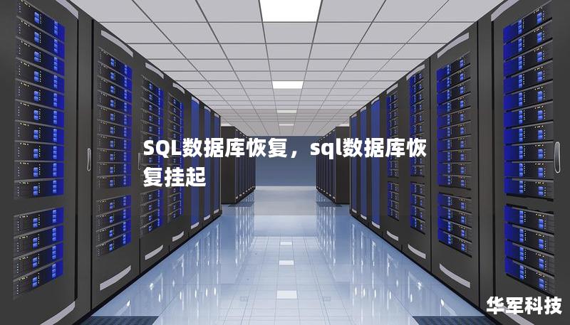 SQL数据库是许多企业关键业务系统的核心，如何有效恢复损坏或丢失的数据是保障业务连续性和数据安全的关键。本文深入探讨SQL数据库恢复的常见场景及解决方案，帮助企业在数据灾难面前迅速恢复正常运作。