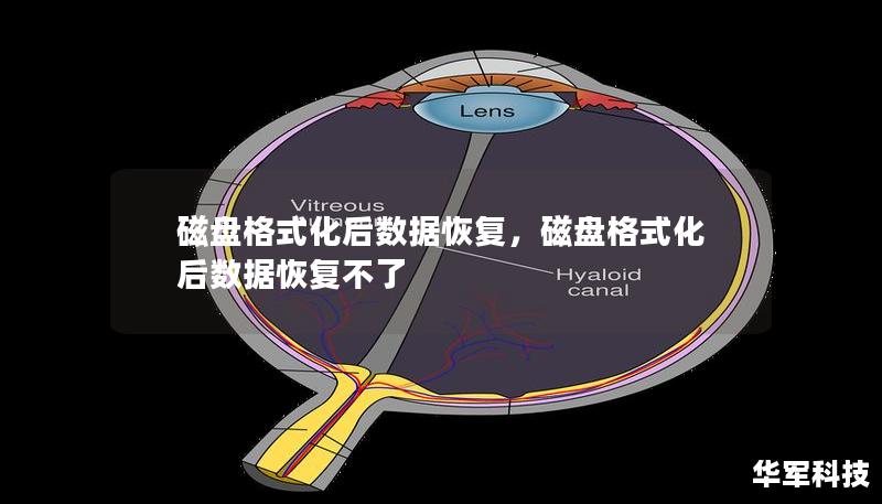 了解如何在磁盘格式化后快速有效地恢复丢失的数据。无论是意外操作还是故障问题，本文将为您提供磁盘数据恢复的全面指南，帮助您轻松找回重要文件。