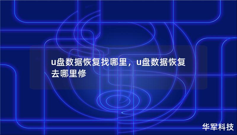 U盘数据丢失怎么办？本文深入探讨U盘数据恢复的专业解决方案，帮助您找到合适的服务提供商并提高数据恢复的成功率。