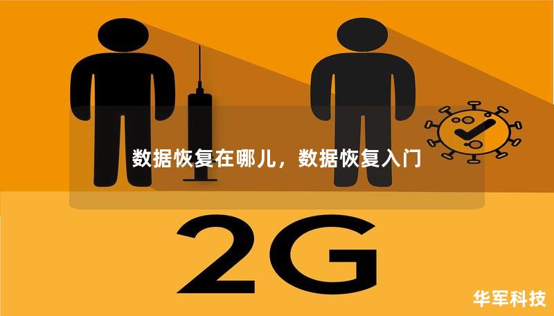 数据丢失问题让人头疼，不论是因为误删、硬盘损坏还是设备崩溃，数据恢复工具和服务是解决这些问题的关键。本文将带你深入了解数据恢复的流程、常见误区以及最佳解决方案，帮助你找回丢失的数据。