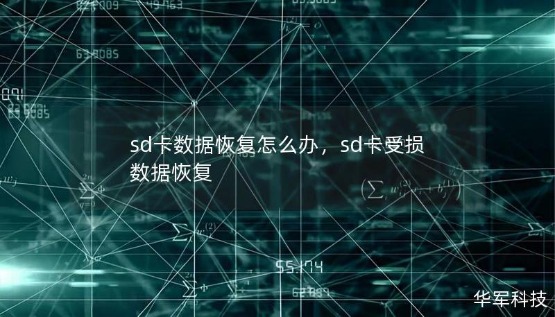 SD卡数据丢失怎么办？本文将详细讲解SD卡数据丢失的常见原因，并提供有效的数据恢复解决方案，帮助用户迅速恢复宝贵文件。无论是照片、视频、还是文档，我们都将为您提供操作步骤及相关工具的推荐。