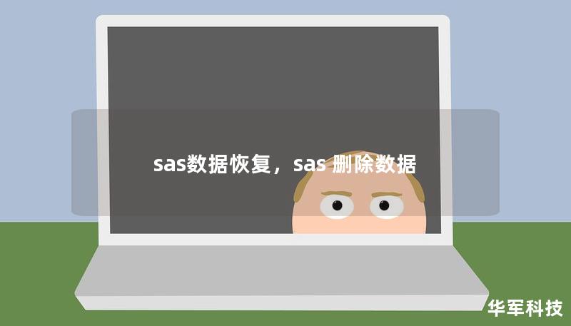 本文详细介绍了SAS数据恢复的核心概念、技术原理及其应用场景，帮助读者深入了解如何有效应对SAS硬盘数据丢失问题，并提供专业的恢复建议。