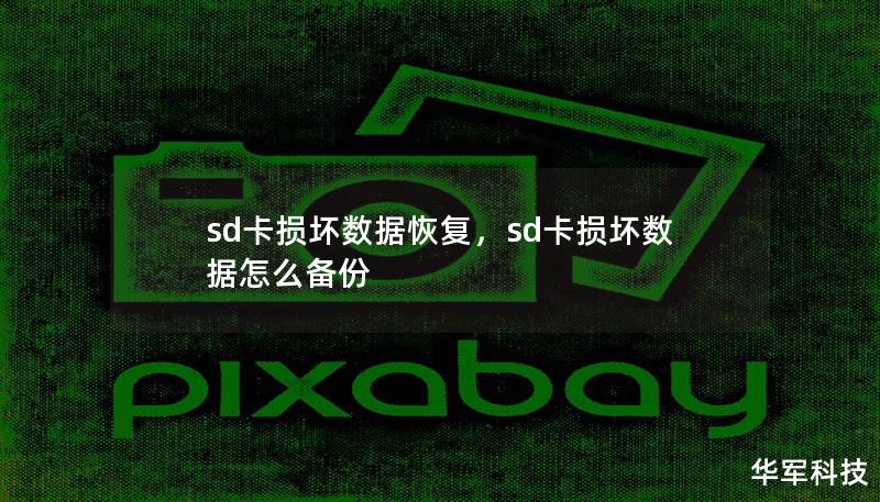 本文深入探讨了SD卡损坏数据恢复的常见原因、恢复方法以及如何预防数据丢失问题。为您提供全方位的解决方案，帮助您快速恢复珍贵数据，减少不必要的损失。