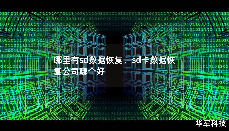 SD卡数据丢失怎么办？本文详细介绍如何恢复SD卡数据，包括常见原因、解决方案和推荐的专业工具，让你轻松应对数据丢失问题。