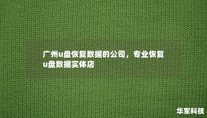 广州U盘数据恢复公司提供专业的U盘数据恢复服务，帮助客户找回误删或丢失的重要文件，适用于各类U盘故障。