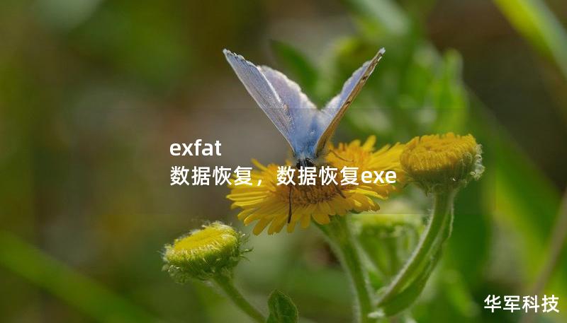 exfat 数据恢复，数据恢复exe