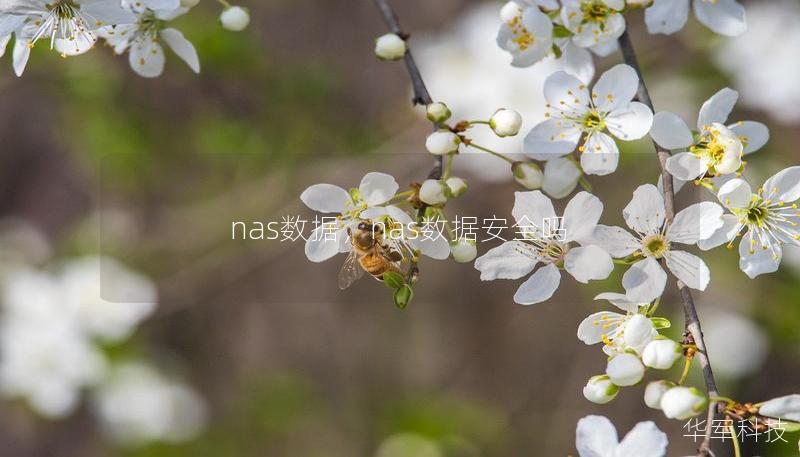 随着企业信息化建设的深入，数据的存储和管理变得越来越重要。NAS（网络附加存储）作为一种高效、经济且安全的存储解决方案，正成为各行业的首选。本文深入探讨NAS数据存储的优势及其广泛应用，帮助企业充分利用这一创新技术提升数据管理水平。