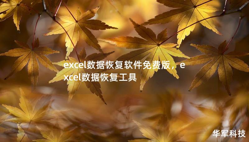 excel数据恢复软件免费版，excel数据恢复工具